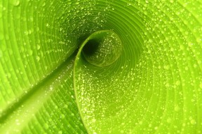 世界冰联2026年拟简化儿童规则 鼓励更自由的冰上体验，世界冰球联合会