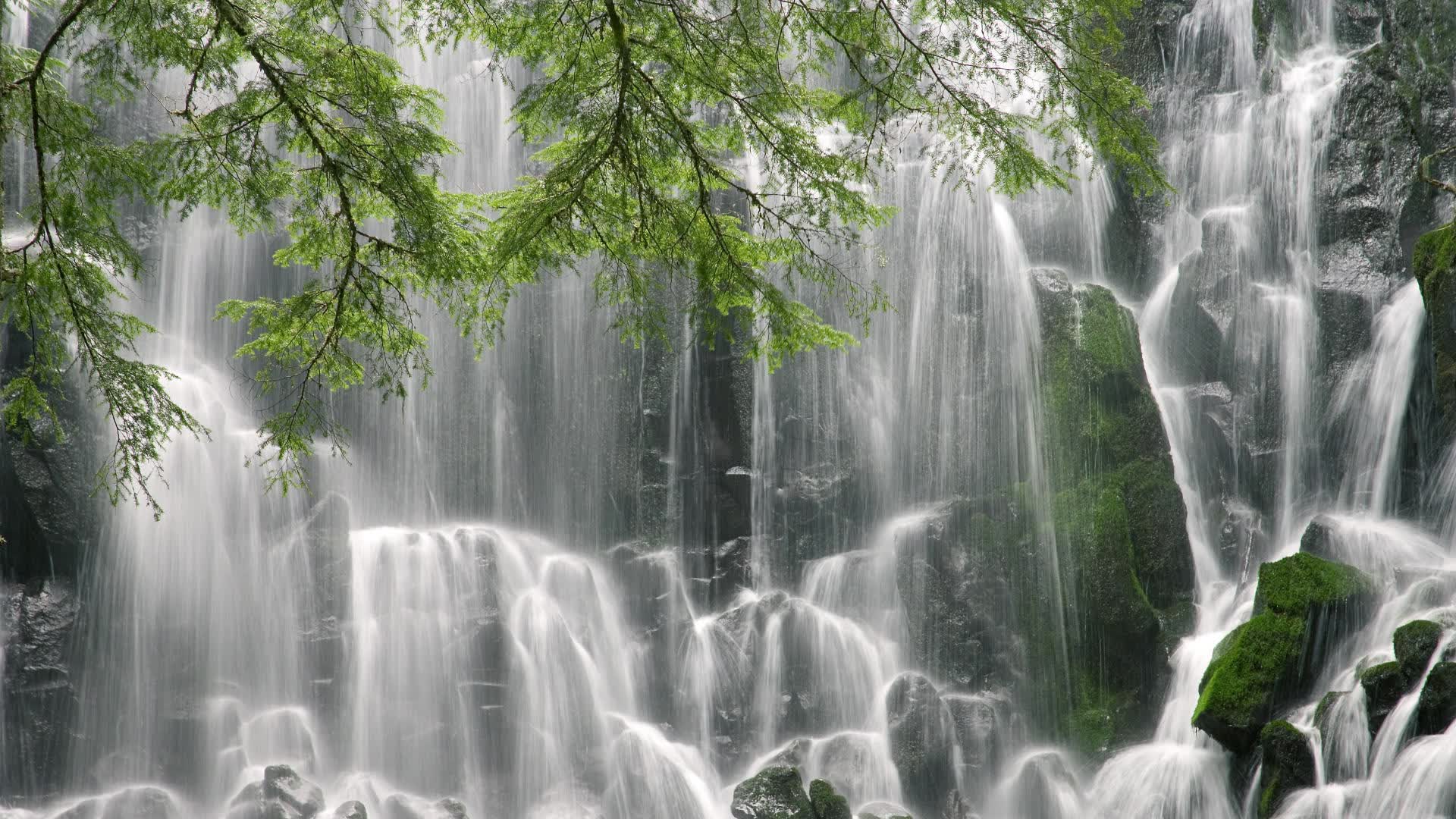 世界游泳锦标赛赛后经济影响评估报告发布，世界游泳锦标赛发奖